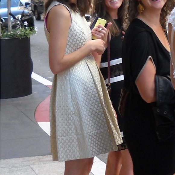 COPY - Eliza J Beautiful Metallic Thread Dress With Pink Lining - Picture 8 of 8